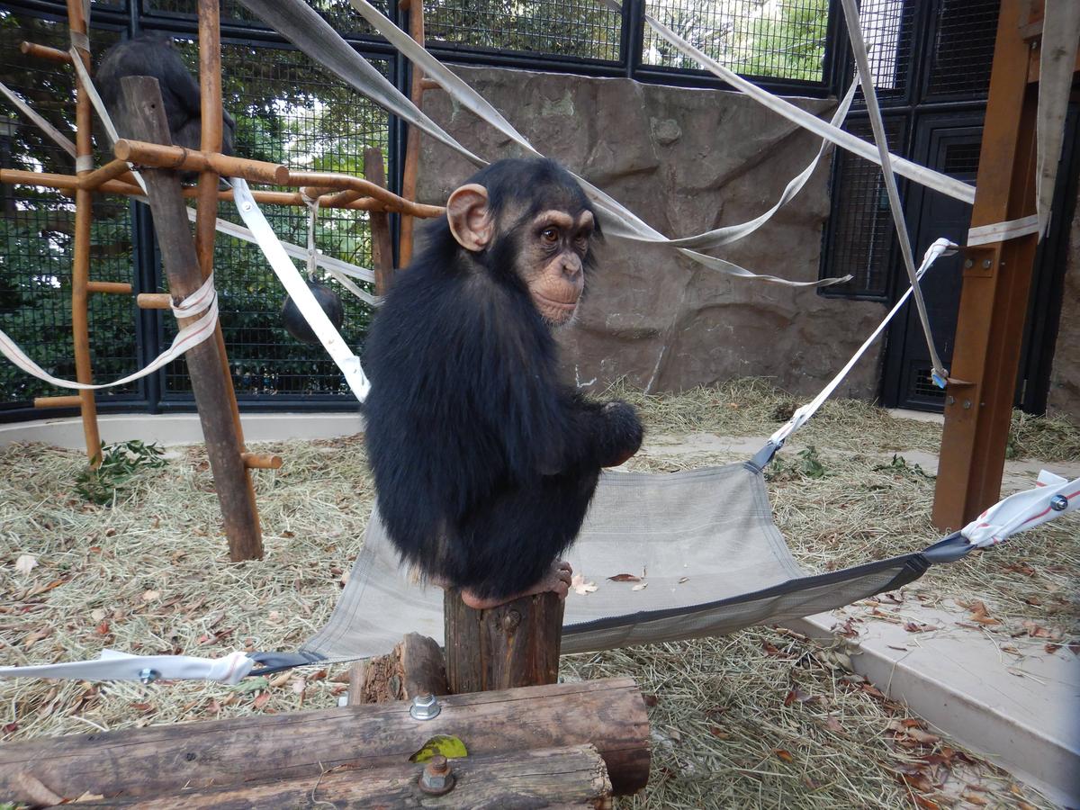 69d5f62d3984ecd64b19c500615d81