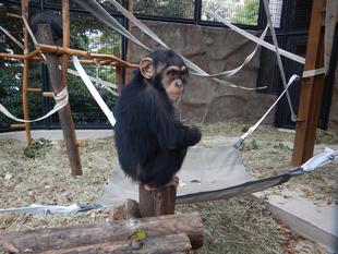 コハル2歳になりました！