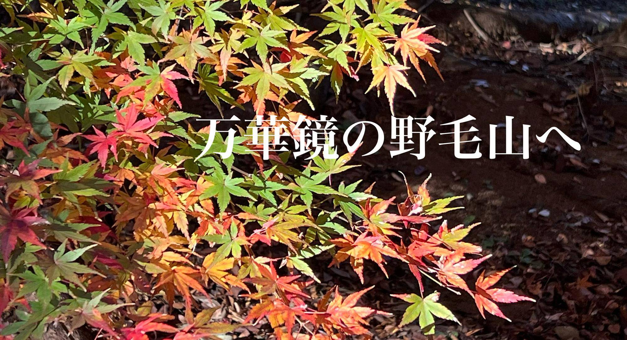 師走の野毛山　今の様子をご紹介いたしますの写真