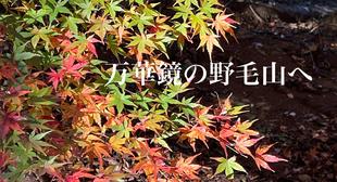 師走の野毛山 今の様子をご紹介いたします