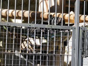 行動から感じる季節感