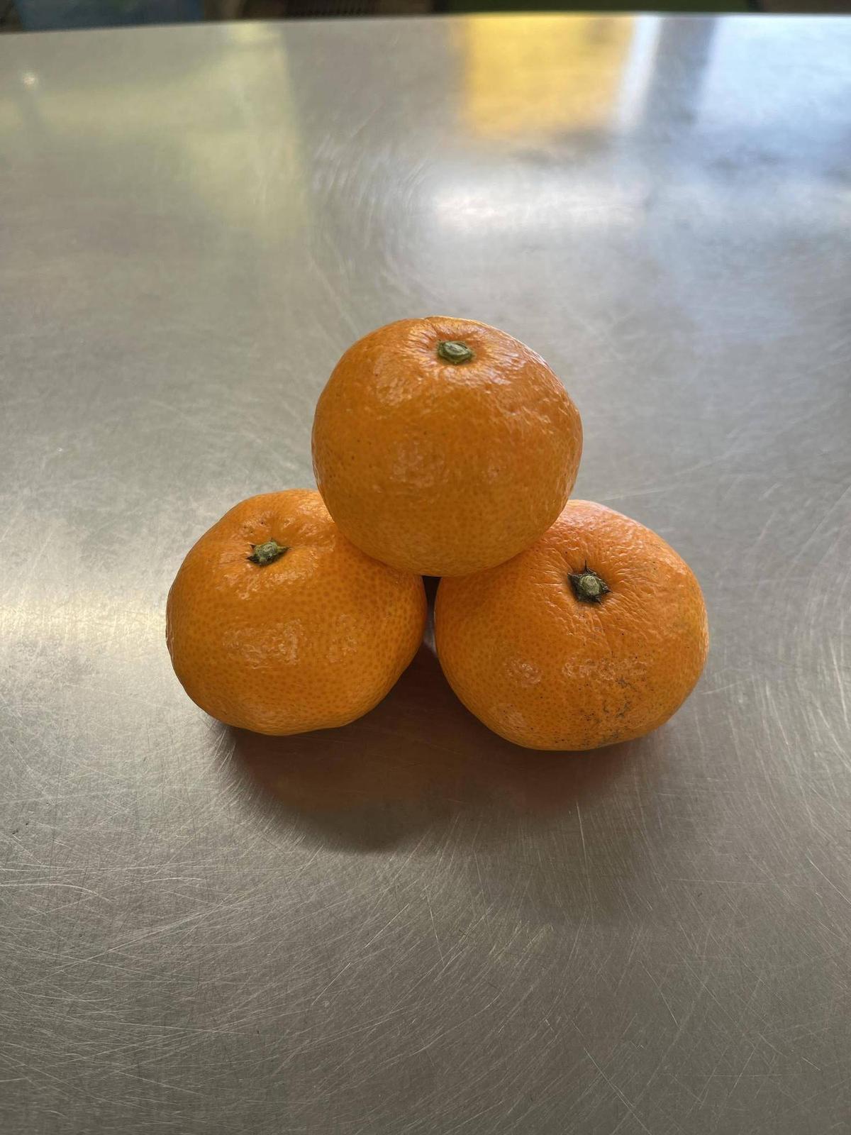 蜜柑|動物トピックス｜ブログ|野毛山動物園公式サイト｜公益財団法人