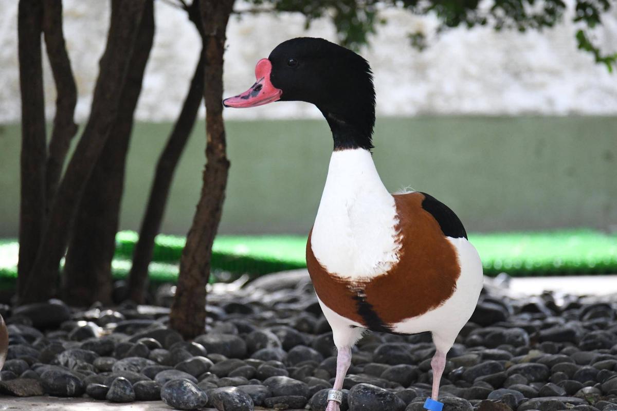 e1578c50530c8f09b655b182074edb