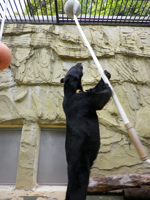 サンペイ、快挙です！！