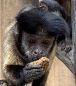 飼料班のおしごと⑩