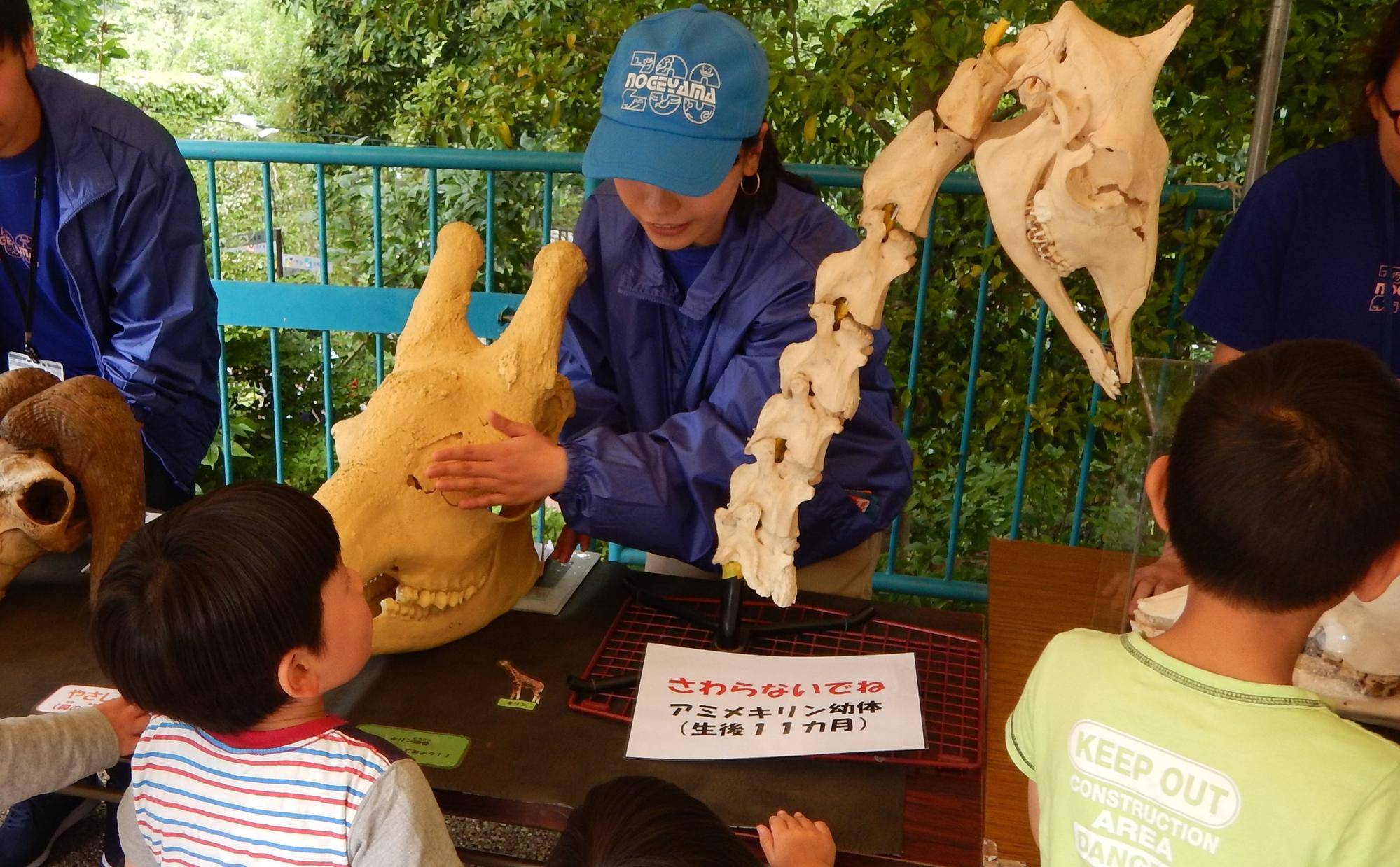 2026  ＧＷ短期ボランティア募集！の写真