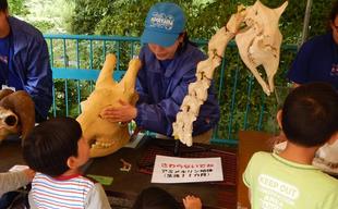 2026  ＧＷ短期ボランティア募集！