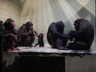 心から、ありがとう