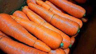 飼料班のおしごと⑪