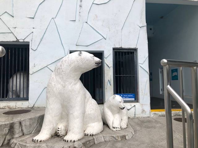 華道二流派の家元×野毛山動物園「いけばな動物園」の写真