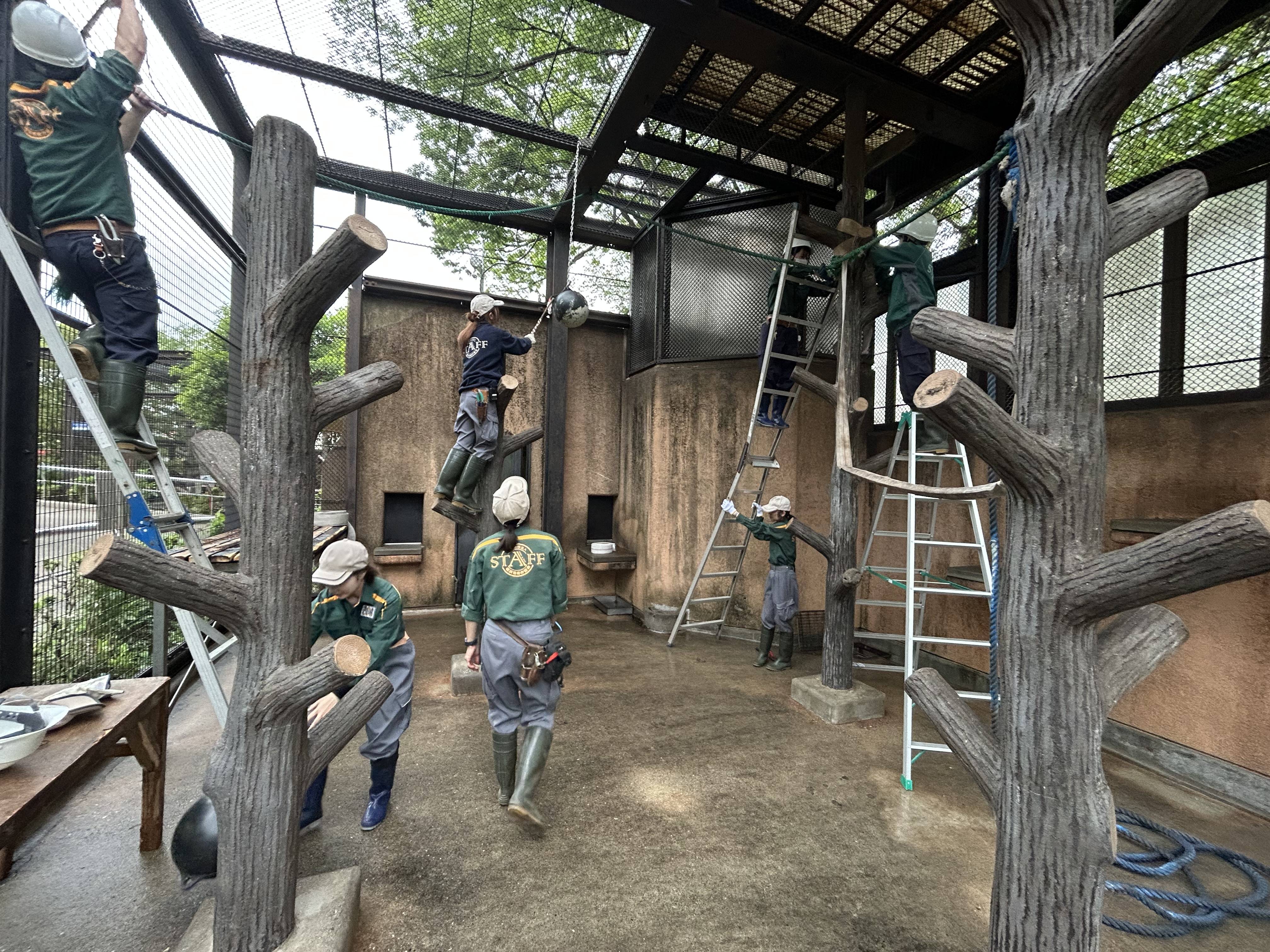 休園日の飼育員たちの写真