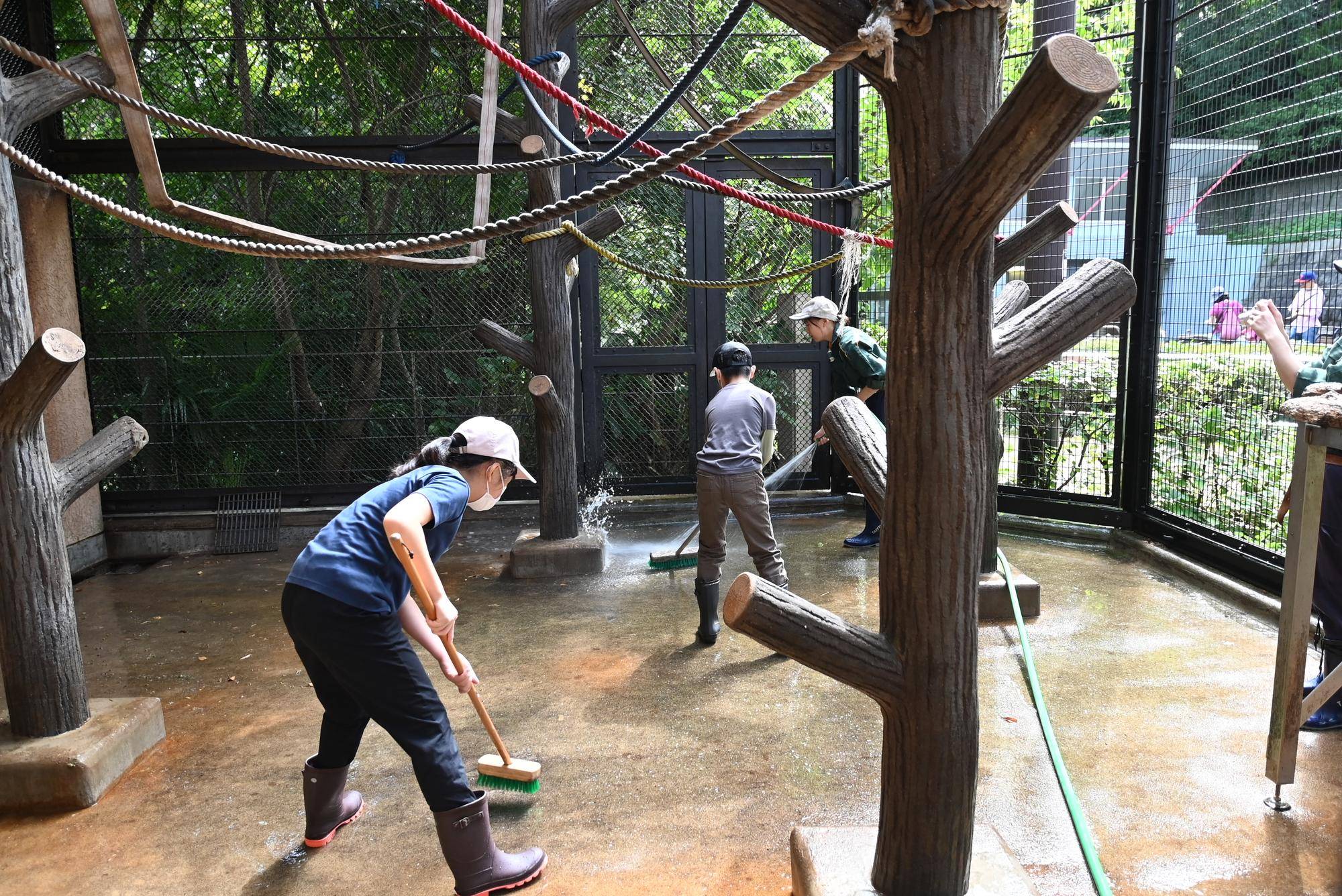 子どもの動物園のお仕事2025年度参加者募集の写真