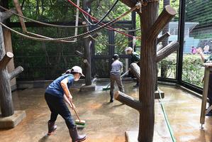  子どもの動物園のお仕事2026年度参加者募集の画像