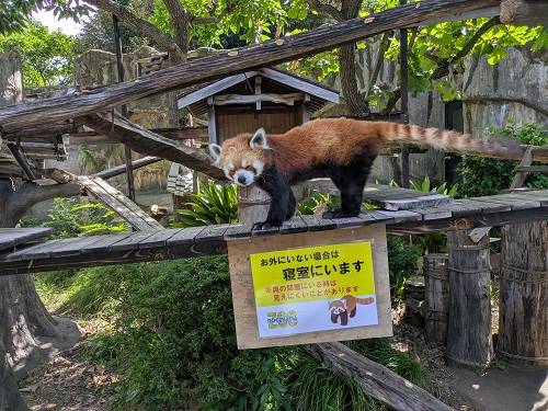じわじわとの写真