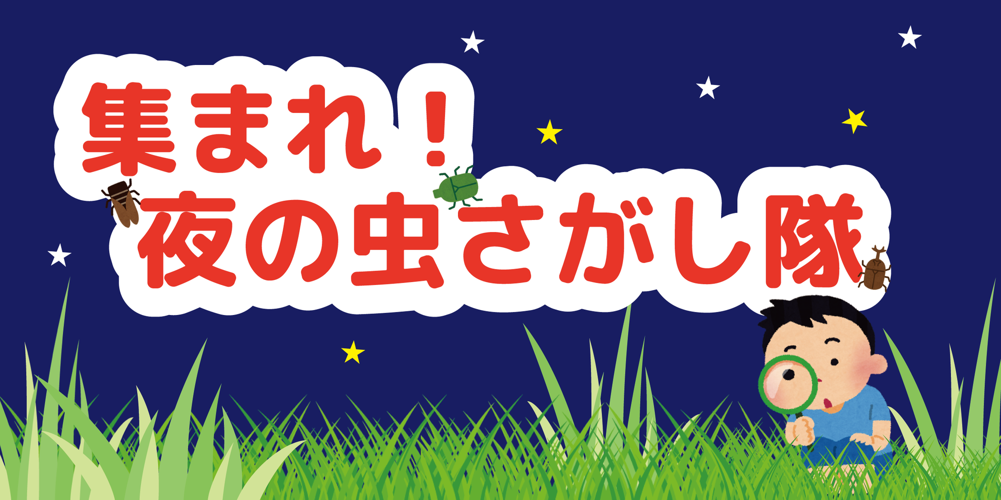 特別イベント「集まれ!夜の虫さがし隊」の写真