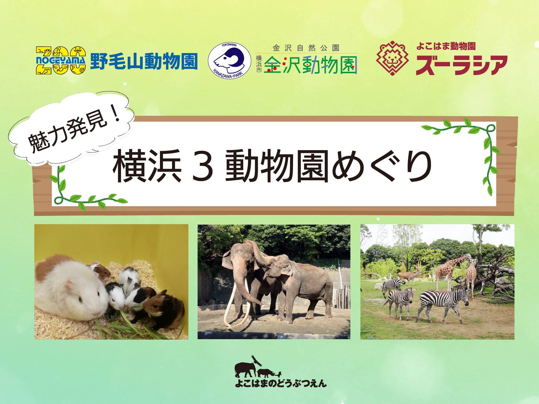 2025「魅力発見!横浜3動物園めぐり」の写真