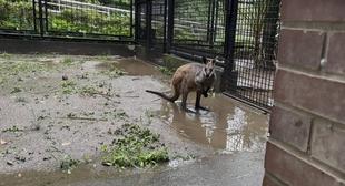 とある雨の日②