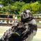 ペンギン達の換羽の画像