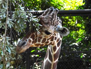 【あみあみ便り】　まだまだ続く！