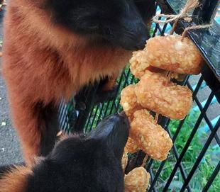 飼料班のおしごと⑰