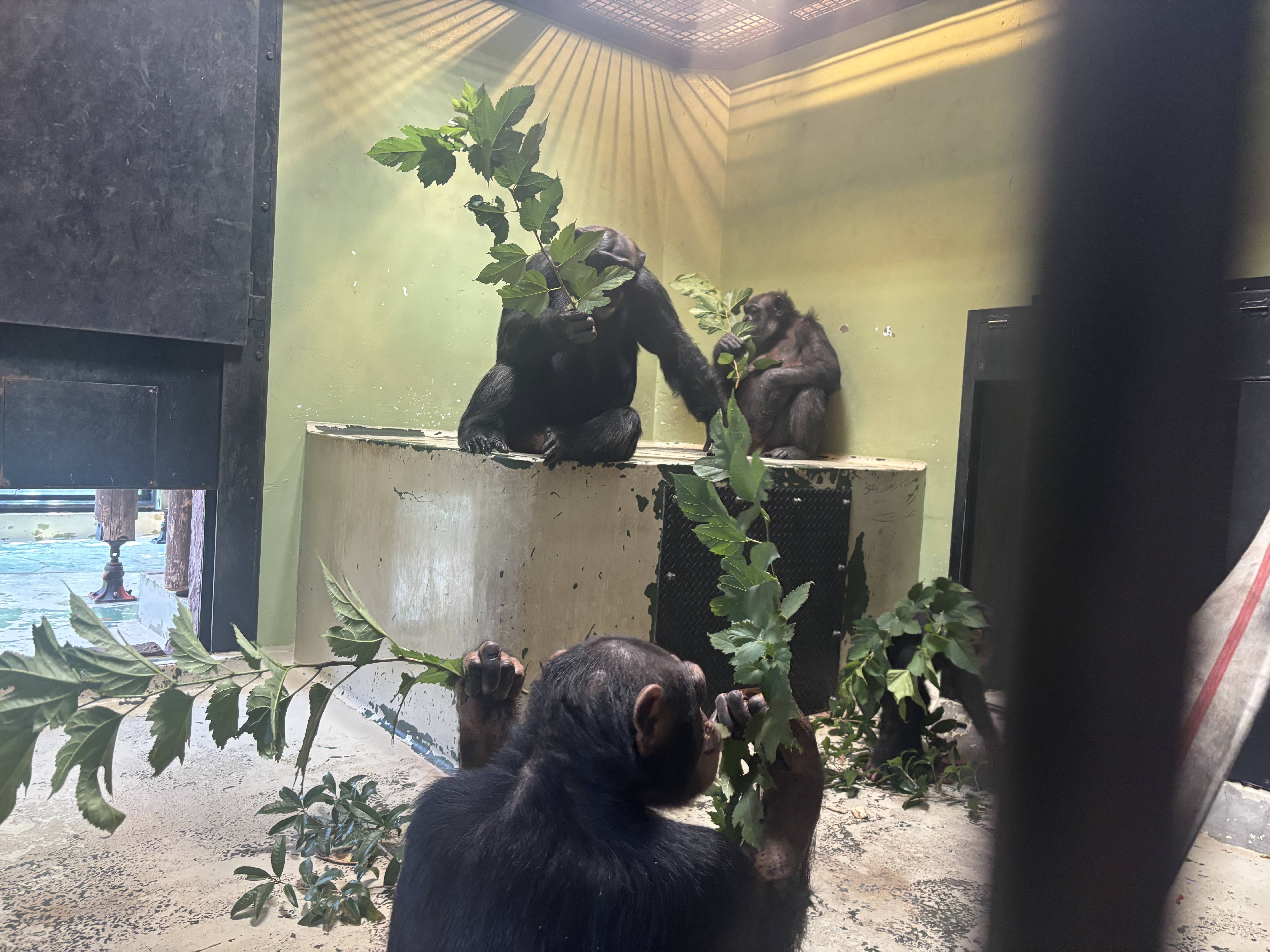 ミラクル何してるの?の写真