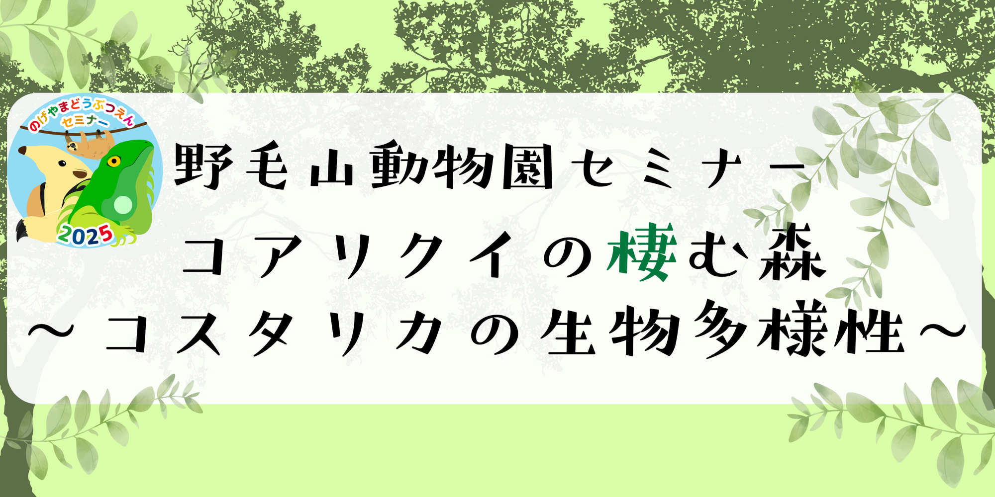 野毛山動物園セミナー2025「コアリクイの棲む森~コスタリカの生物多様性~」の写真