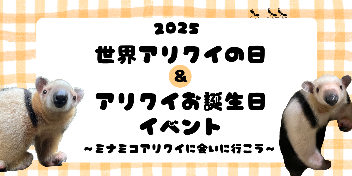 世界アリクイの日イベント&アリクイお誕生日会2025 ~ミナミコアリクイに会いに行こう!~の写真