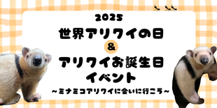 世界アリクイの日イベント＆アリクイお誕生日会2025　～ミナミコアリクイに会いに行こう！～