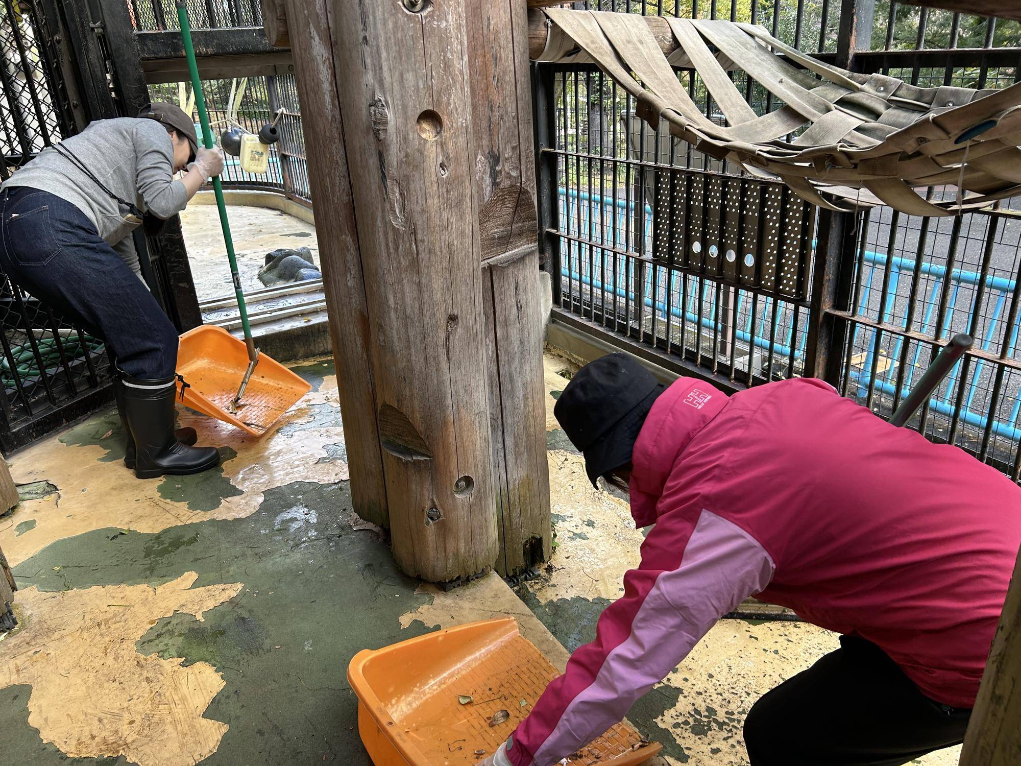 大人向け(高校生以上)動物園飼育体験2025参加者の募集の写真