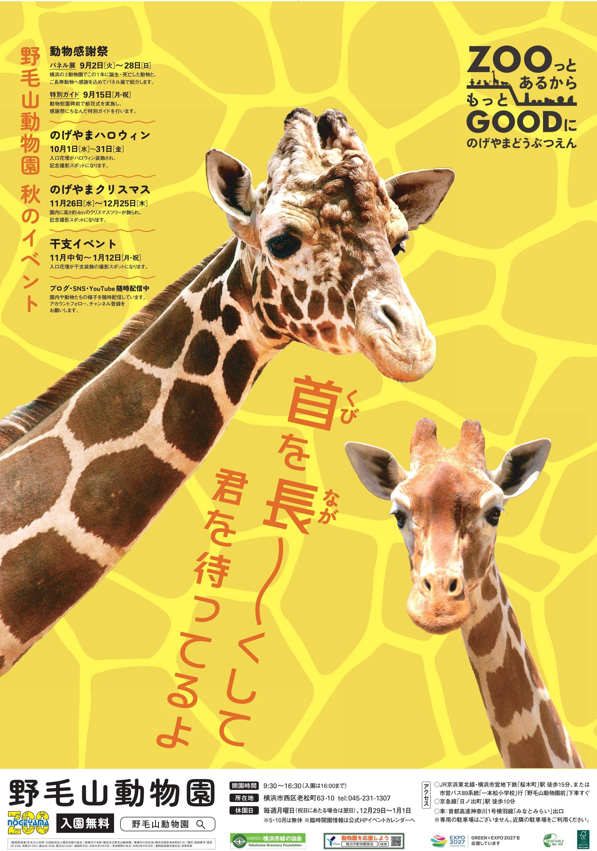 【あみあみ便り】秋のポスターは・・・の写真