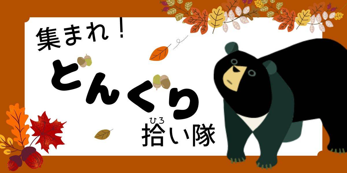 集まれ!どんぐり拾い隊2025の写真