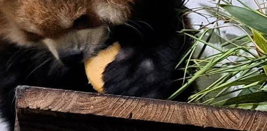 飼料班のおしごと⑱の写真