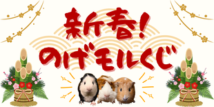 新春！のげモルくじ