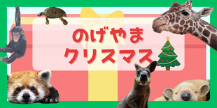 【11/27更新】のげやまクリスマス2025
