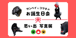  ツキノワグマ「サンペイ」「コマチ」の誕生日会・思い出写真展