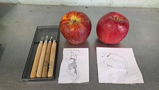 飼料班のおしごと㉒