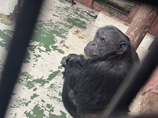 コブヘイ30歳になりました！