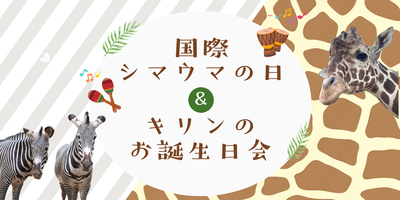 国際シマウマの日＆キリンの「そら」お誕生日会　イベントの画像