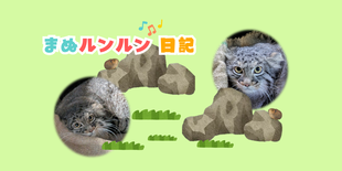 【まぬルンルン日記】大進歩の一日