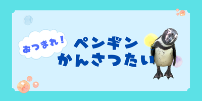 あつまれ！ペンギンかんさつたいの画像