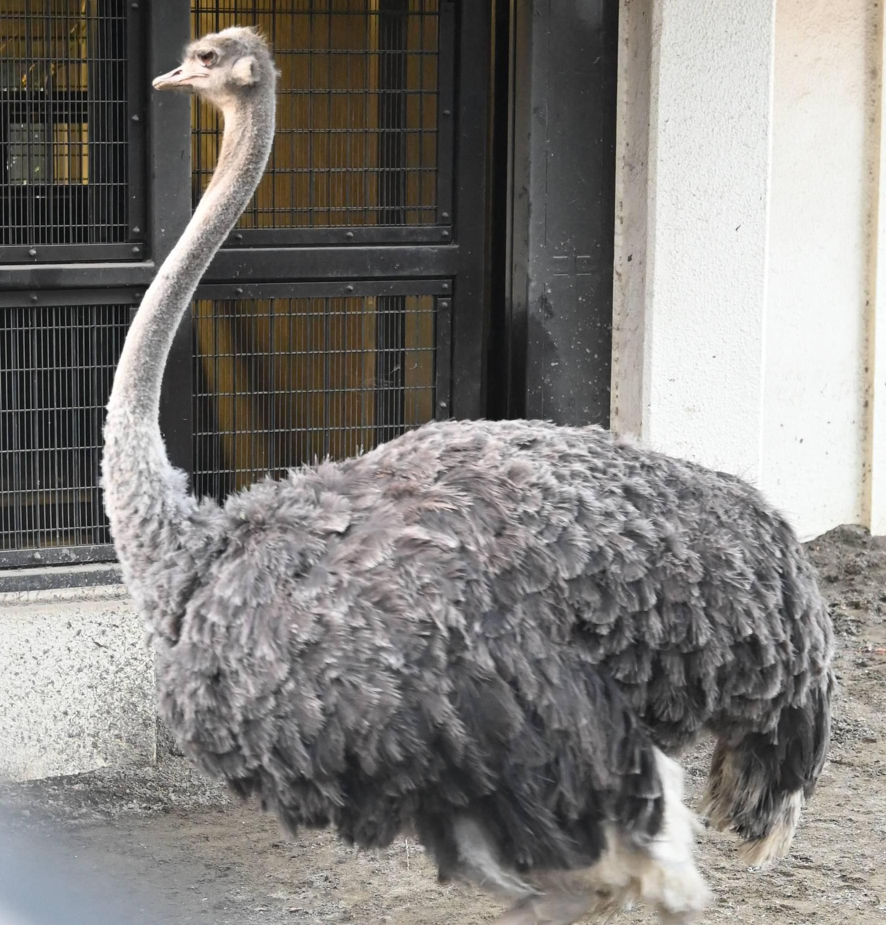 2月2日は何の日？の写真