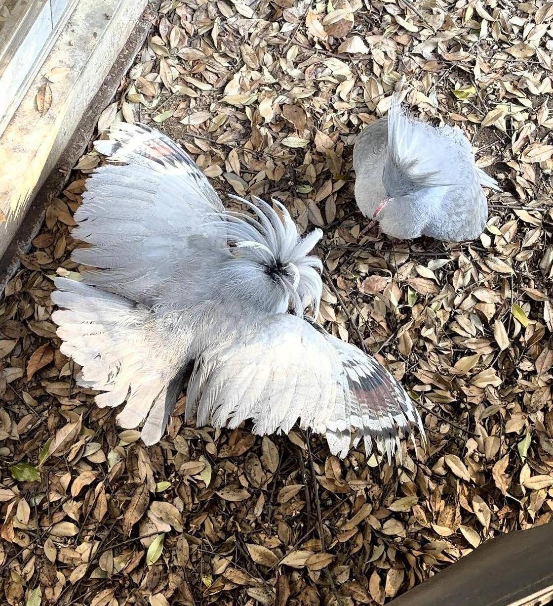 餌に目がない...！の写真