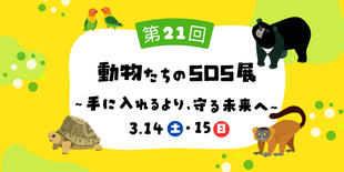  第21回　動物たちのSOS展～手に入れるより、守る未来へ～