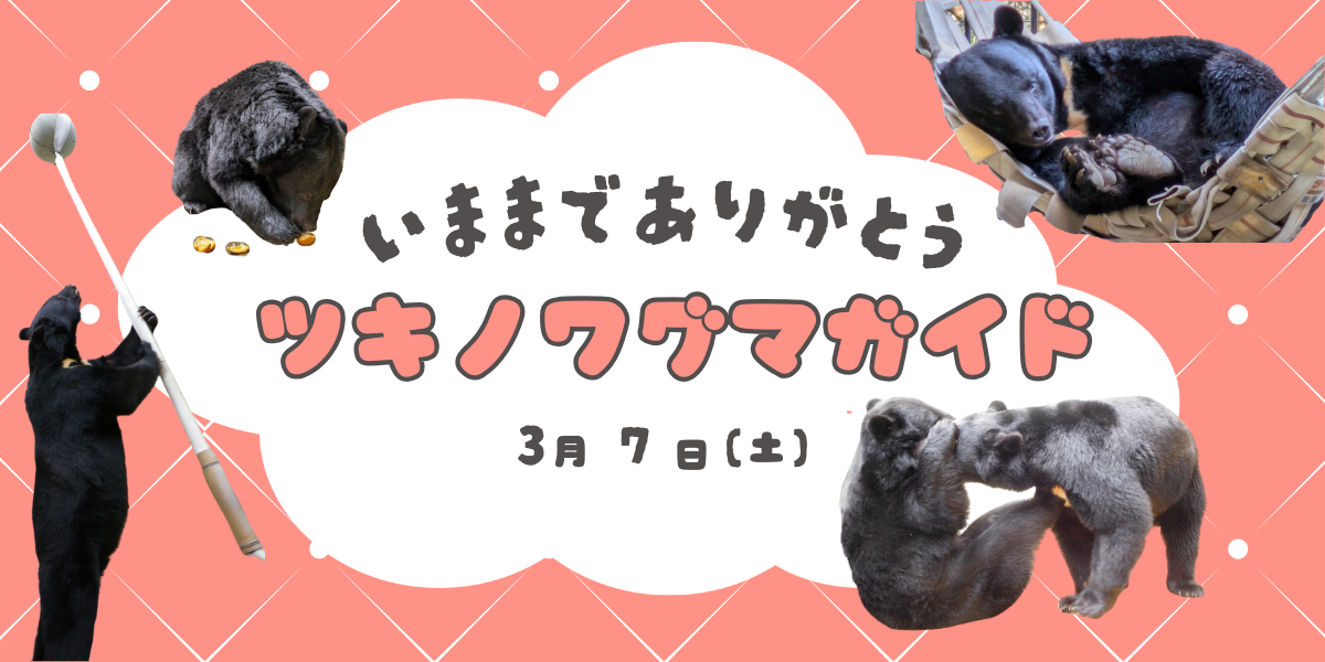  今までありがとう　ツキノワグマガイドの写真