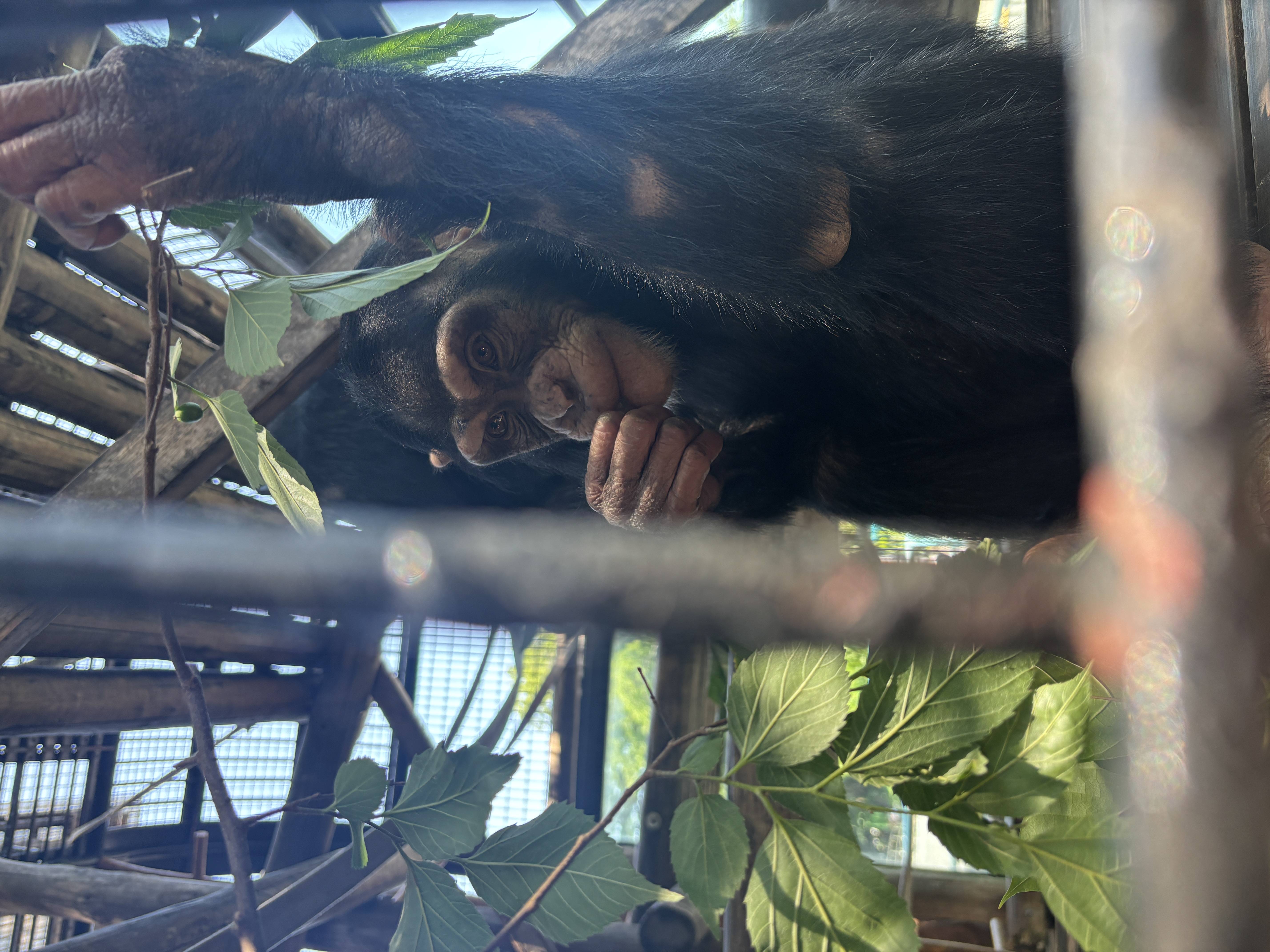 2025年度振り返り！③～緑の春・夏！の写真