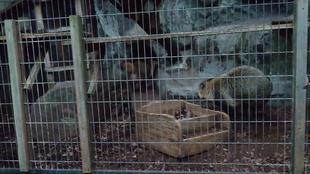 夕方のウタはちょっと違う