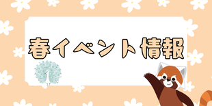 春のイベント情報