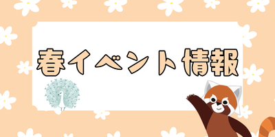 春のイベント情報の画像