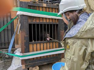 サンペイお引越し当日の様子～「輸送箱に入るまで」編