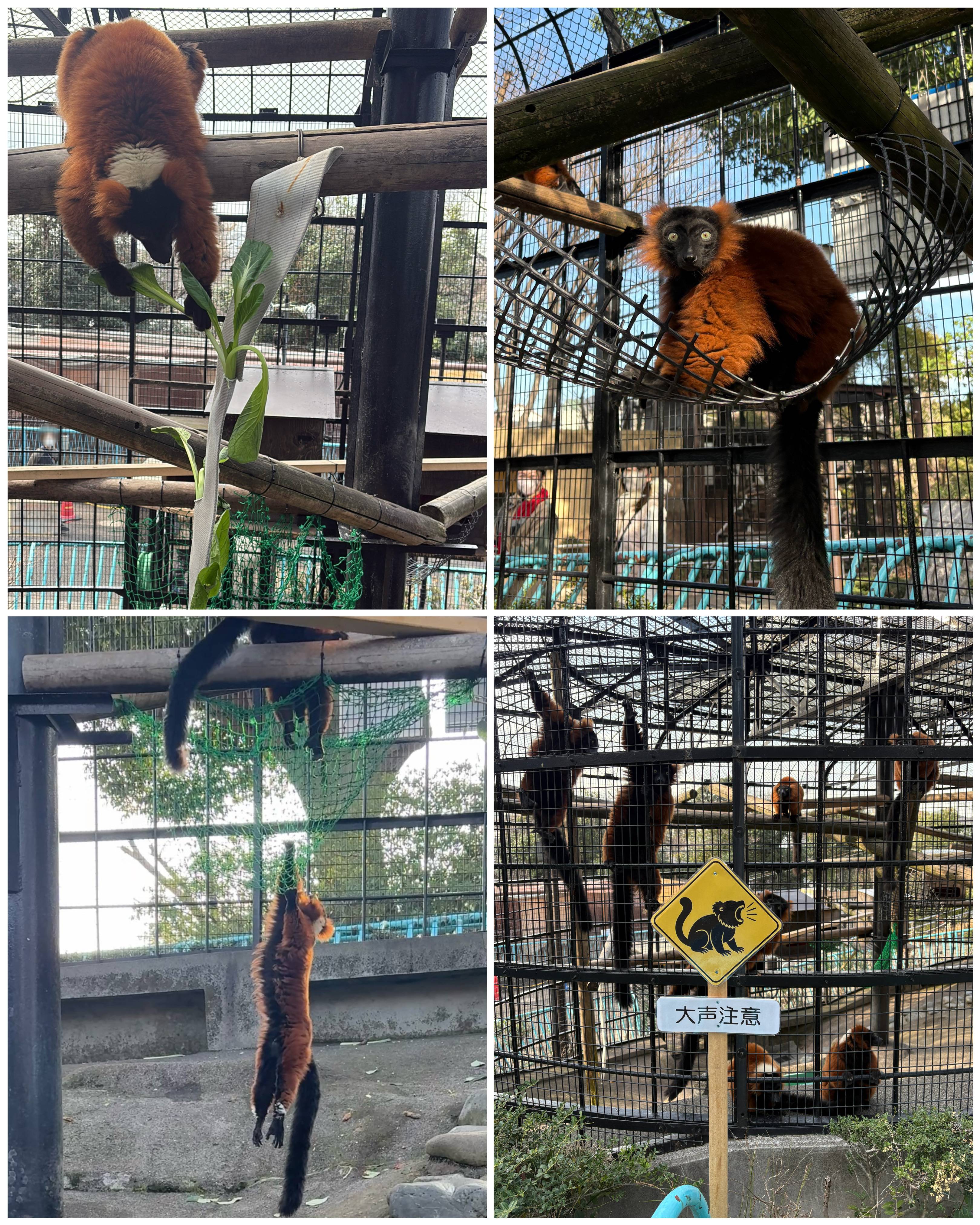 New!アイテム2026の写真